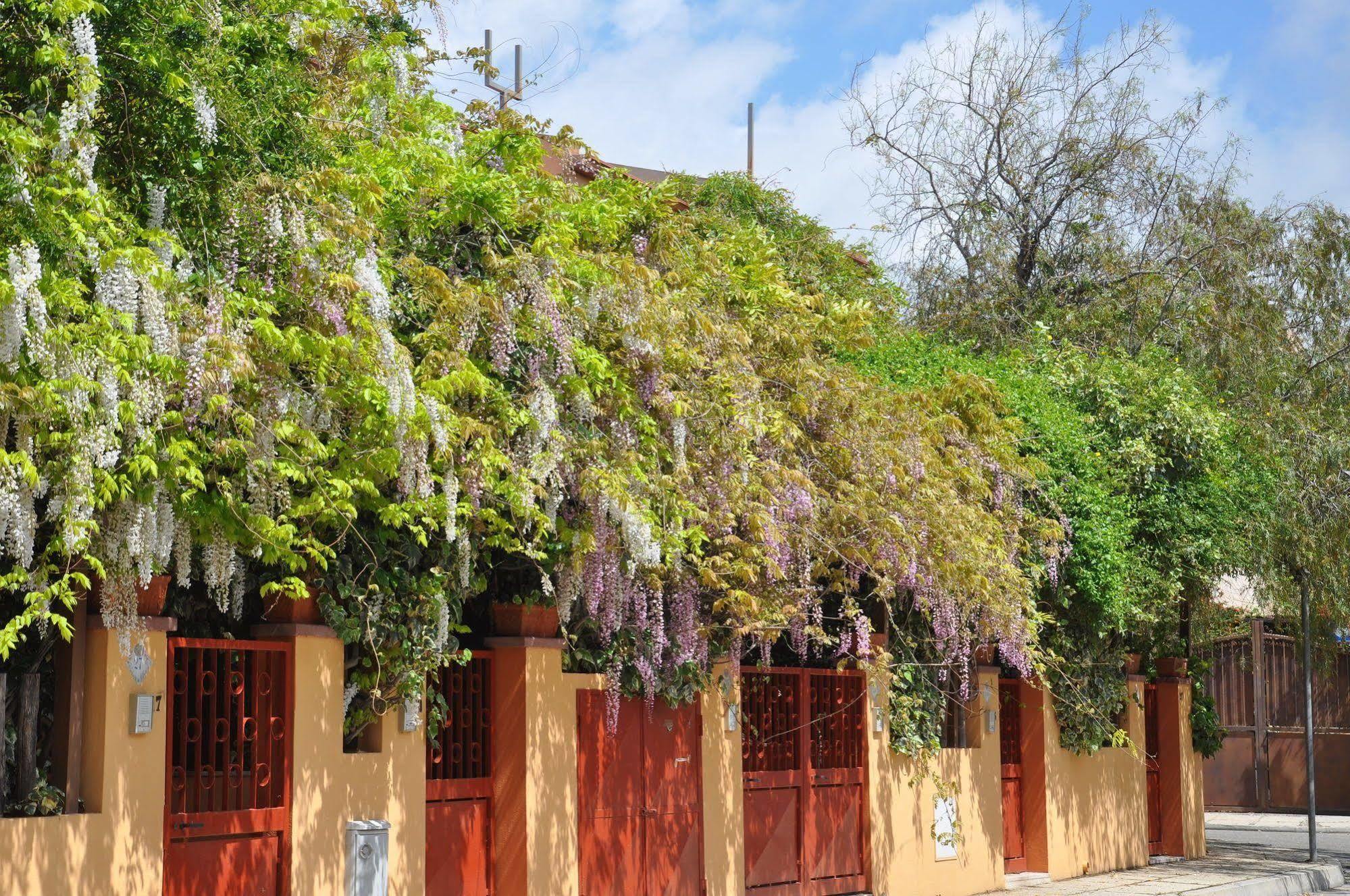 Aparthotel Residenza Le Due Palme Villasimius Exterior foto